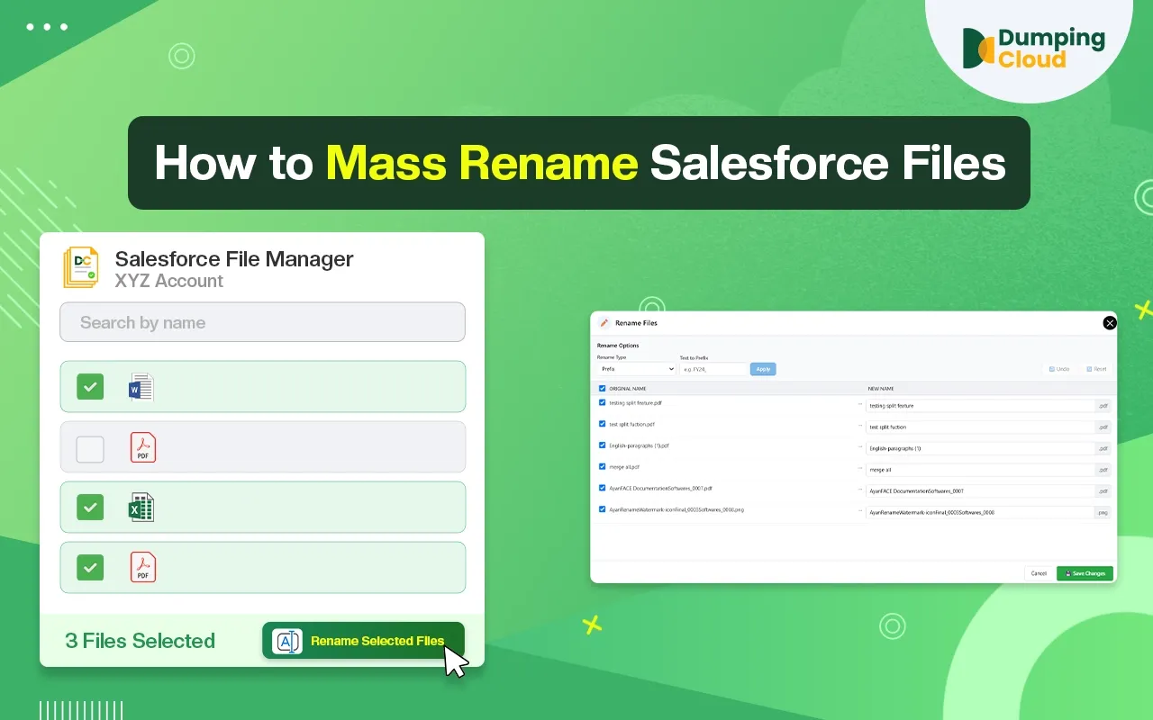 How to Mass Rename Salesforce Files Effortlessly?