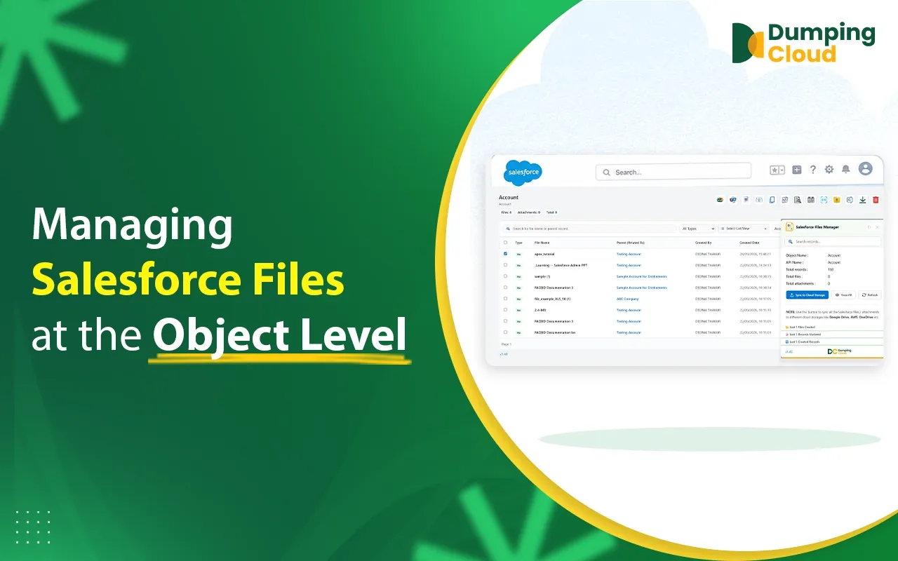 Manage Salesforce Files at Scale with Object Level File Management