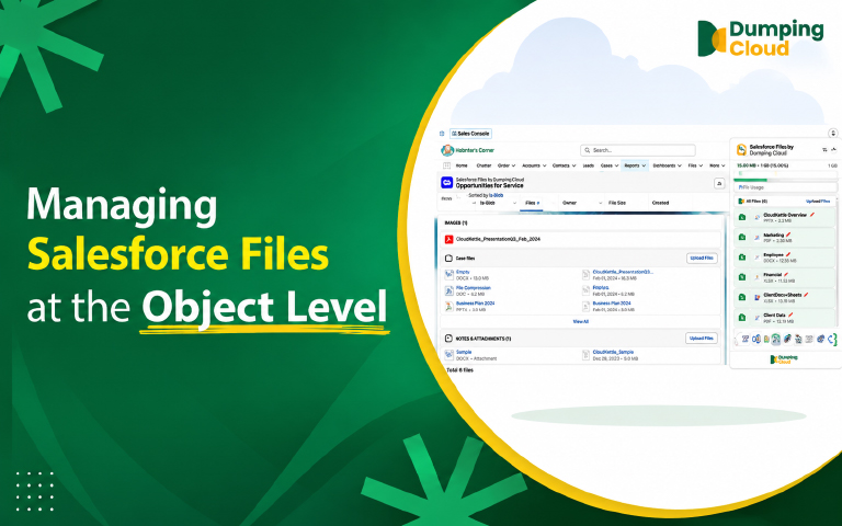Manage Salesforce Files at Scale with Object Level File Management