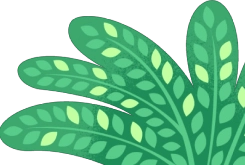 grass