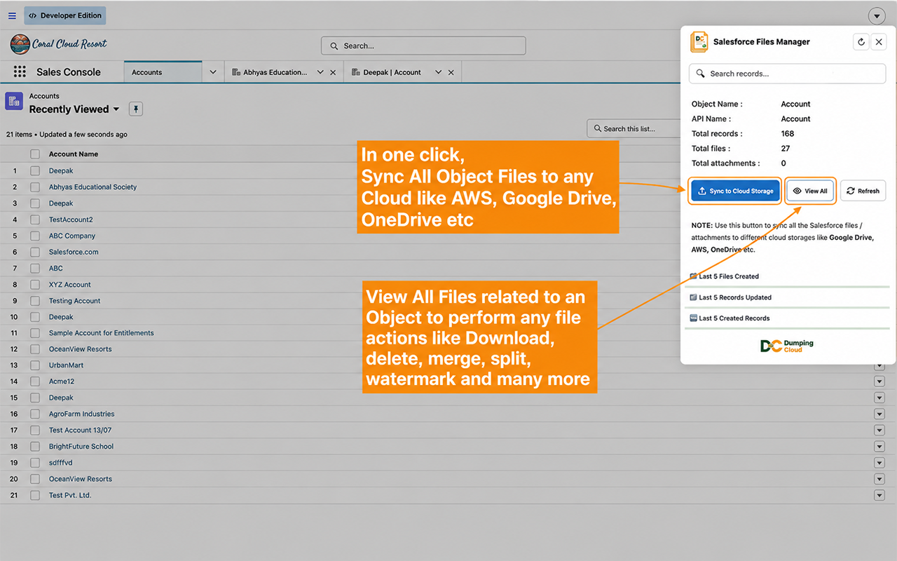 Object-Level File Management