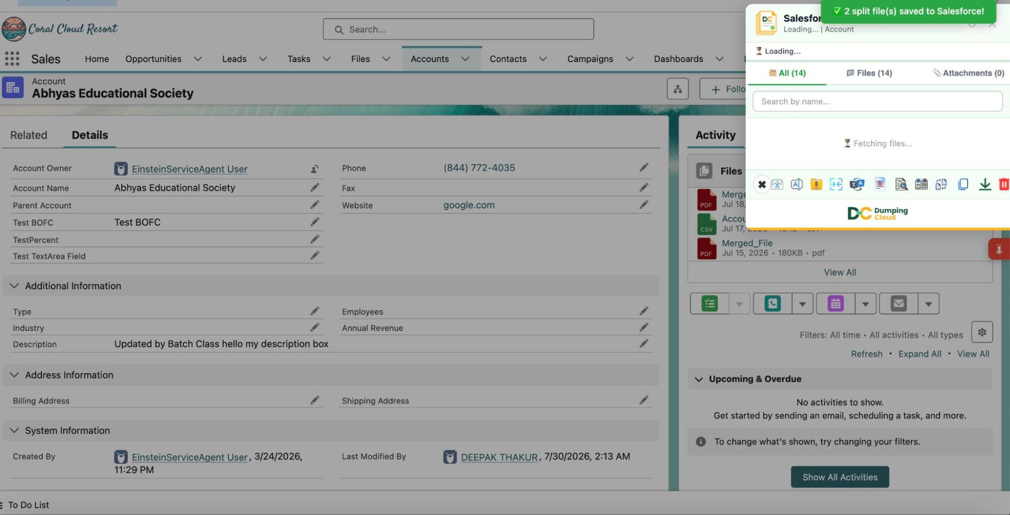 split salesforce files