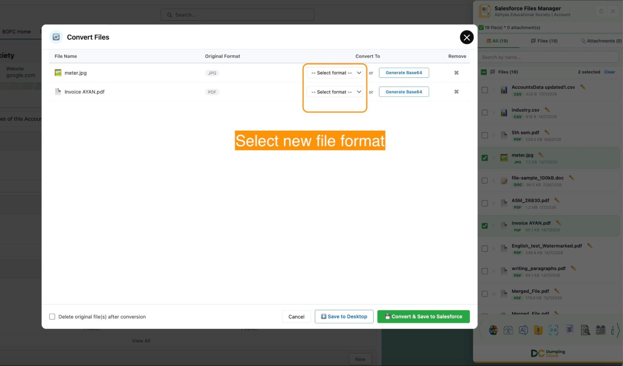 Dumping Cloud Convert Salesforce Files panel
