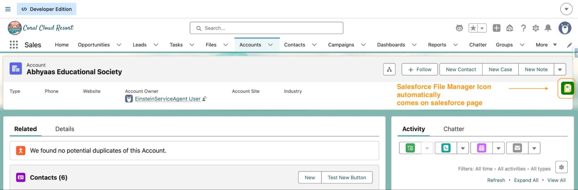 Dumping Cloud extension panel showing files on a Salesforce record