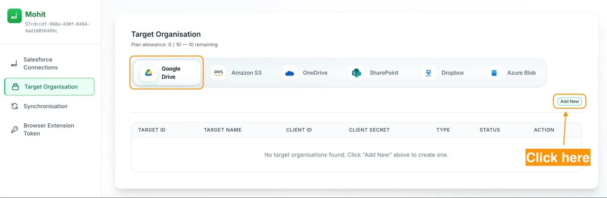 How to Manage Google Drive Files in Bulk Without Downloading Them 6 Target Organization page with Google Drive selected as the platform type
